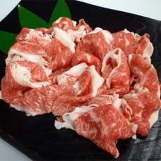 飛騨牛切り落とし　1kg