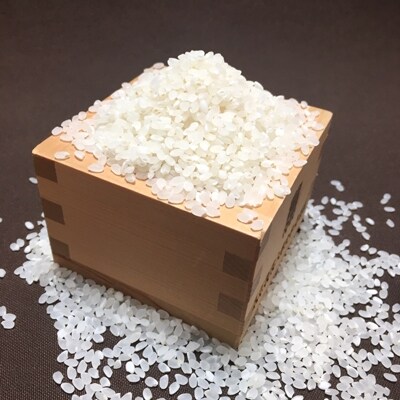 【平成30年度産】特別栽培米 うしく河童米10kg