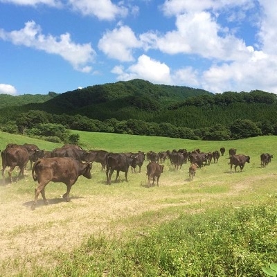 広島産黒毛和牛「見浦牛」の焼肉希少部位セット(ミスジ&カイノミ/280g)