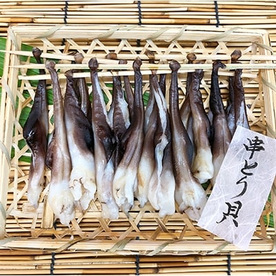 串とり貝10串【竹かご入り】