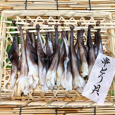 串とり貝4串【竹かご入り】