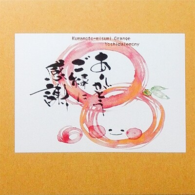 飲むゼリー(果汁50%入り)5本セット