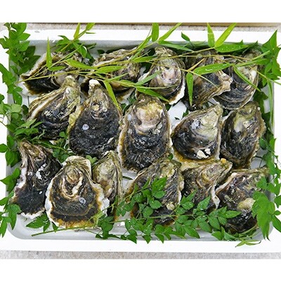 岩牡蠣セット200g前後×20個前後(加熱用)【6月~8月発送】