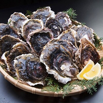 岩牡蠣セット200g前後×20個前後(加熱用)【6月~8月発送】