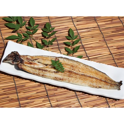 増田川魚店うなぎ白焼【特上2本】