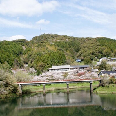 飲み放題・宿泊付土佐料理堪能お食事券(1名様分)