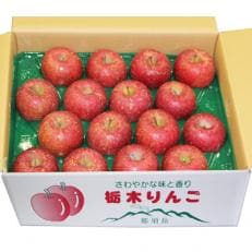りんごA(ふじ) | ふるさと納税のお礼品