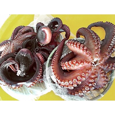 若狭美浜活魚(いかし)の大かまでゆでました!煮タコ大・中・小・丸小4点セット
