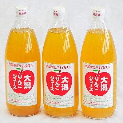 山本りんご園　大潟りんごジュース1L×3本セット