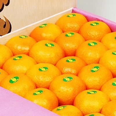 桐箱入り・媛一みかん(7kg)【G24-3】