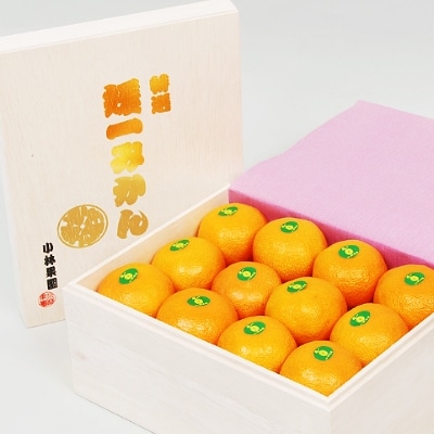 桐箱入り・媛一みかん(2.5kg)【D24-4】