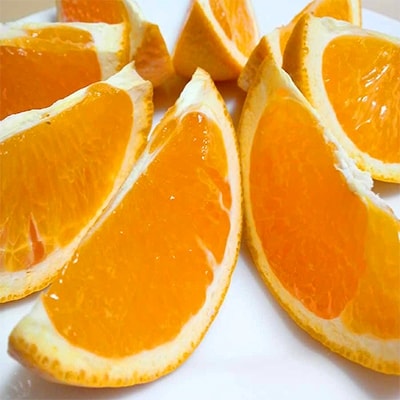 蜂久農園の美味しい　蜂久清見オレンジ　約10kg