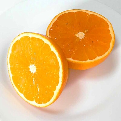 蜂久農園の美味しい　蜂久清見オレンジ　約10kg