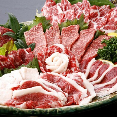 馬刺セット600g 大トロ400g フタエゴ100g コウネ100 タレ 生姜付 お礼品詳細 ふるさと納税なら さとふる 馬刺セット600g 大トロ400g フタエゴ100g コウネ100 タレ 生姜付 お礼品詳細 ふるさと納税なら さとふる