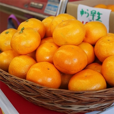 紀州日高の完熟みかん5kg(SSサイズ～Mサイズ混合)