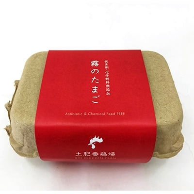 熊本県産　土肥養鶏場の赤卵「霧のたまご」48個(6個入り×8パック)