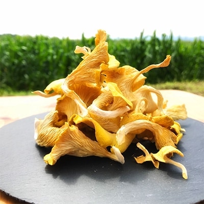 うま味が魅力の　「花咲たもぎ茸」(乾燥タイプ)100g×1袋