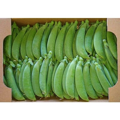 熊本県産　スナップエンドウ 1kg