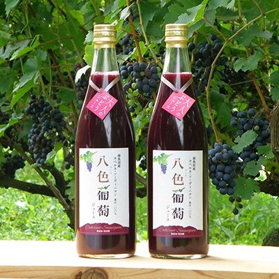 熟成”カベルネ・ソーヴィニヨン”100%ジュース　720ml　2本セット