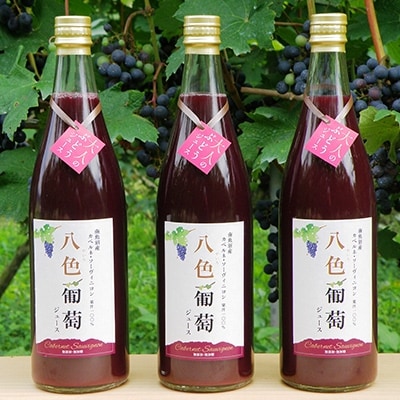熟成”カベルネ・ソーヴィニヨン”100%ジュース　720ml　3本セット