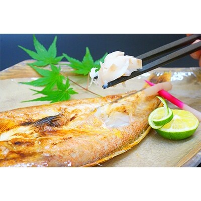 【北畿水産 鮮の匠】高級あまだい一夜干し&西京漬けセット