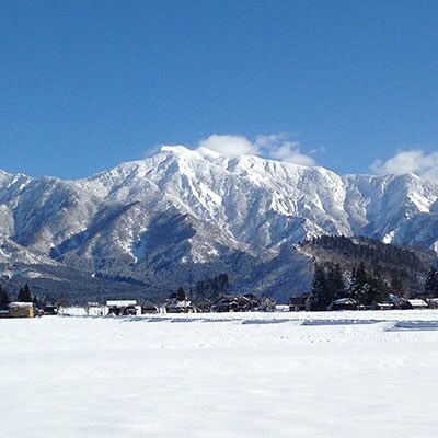 【2023年2月下旬発送】【令和4年産】特別栽培米「南魚沼産コシヒカリ」農薬不使用玄米5kg