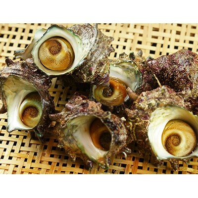 サザエがたっぷり サザエご飯の素 3合炊用 2袋セット 京丹後産天然サザエ使用 お礼品詳細 ふるさと納税なら さとふる サザエがたっぷり サザエご飯の素 3合炊用 2袋セット 京丹後産天然サザエ使用 お礼品詳細 ふるさと納税なら さとふる