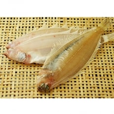 笹かれい一夜干し (ササカレイ) 干し上がり後 100g以上 5尾セット