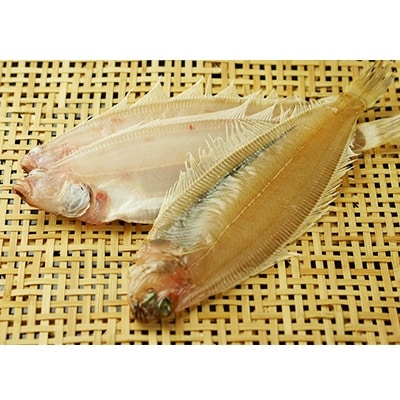 笹かれい一夜干し ササカレイ 干し上がり後 100g以上 5尾セット お礼品詳細 ふるさと納税なら さとふる