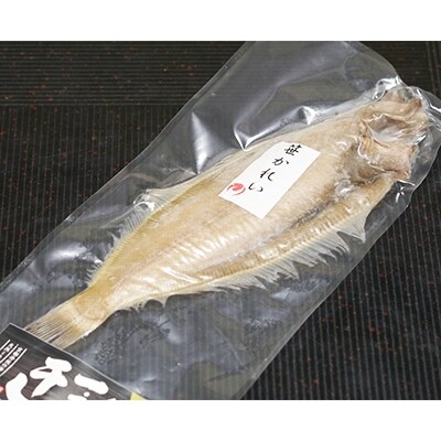笹かれい一夜干し (ササカレイ) 干し上がり後 150g以上 5尾セット