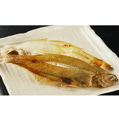 笹かれい一夜干し ササカレイ ヤナギムシカレイ 特大サイズ 5尾セット お礼品詳細 ふるさと納税なら さとふる