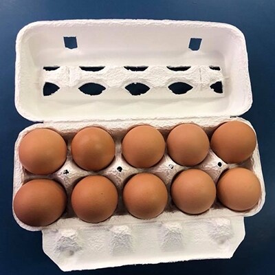 京たまご 茶乃月セット1箱(10個入り ×3)