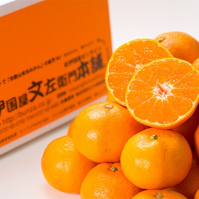 ブランド有田みかん【M】秀品5kg/産地直送/薄皮で甘い美味しい和歌山県産/紀伊国屋文左衛門本舗