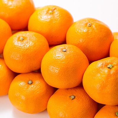 ブランド有田みかん【M】秀品5kg/産地直送/薄皮で甘い美味しい和歌山県産/紀伊国屋文左衛門本舗