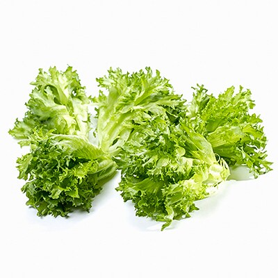 容量たっぷり!NOUMANNフリルレタス(2kg)