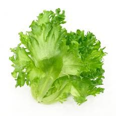 容量たっぷり!NOUMANNフリルレタス(5kg) | ふるさと納税のお礼品
