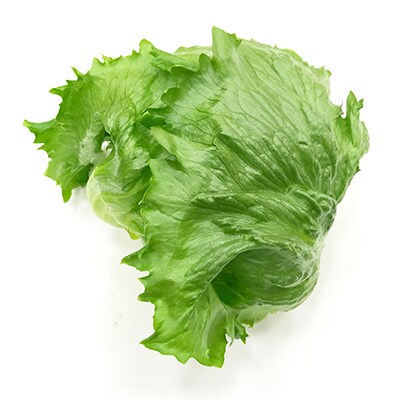 食べたらやみつき!NOUMANN結球レタス(5kg)
