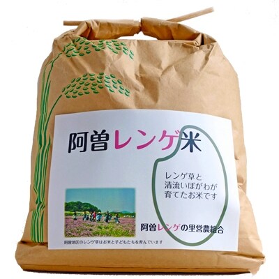 令和3年産 阿曽レンゲ米(コシヒカリ6kg)【精米】 | お礼品詳細