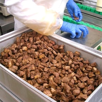 【伊万里焼きカレー】6食+専用皿