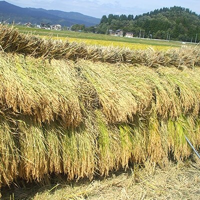 【令和5年産】南魚沼地域産コシヒカリ「梅蛍」 10kg