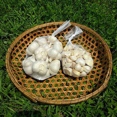 にんにく【福地ホワイト六片種】合計1.5kgの詰め合わせ(サイズ混合1kgとばらし500g)