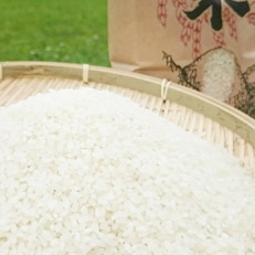 京丹後コシヒカリ5kg