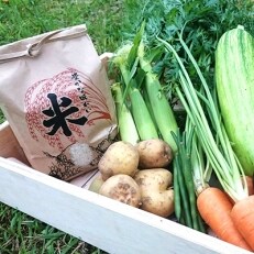 農家さんこだわりの野菜7種+特別栽培米コシヒカリ2kgB(野菜などの詰合せ)