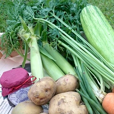 農家さんこだわりの野菜7種+特産品1品C(野菜などの詰合せ) | ふるさと納税のお礼品