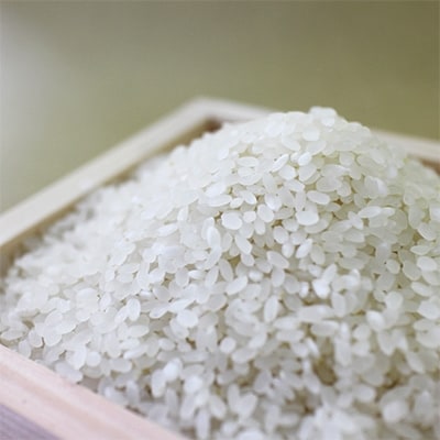 【令和6年産】熊本県あさぎり町産のお米　ヒノヒカリ「なかくま」10kg(5kg×2袋)