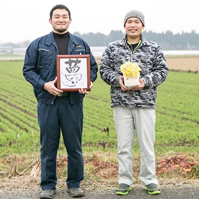 熊本県あさぎり町産 「粉末 花咲たもぎ茸」70g×1袋