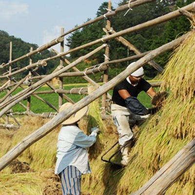 すがやたたらの幸バリューセット