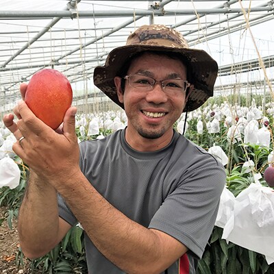 生産拠点産地沖縄県うるま市産「おじーのマンゴー」1箱(2~3玉)約1kg