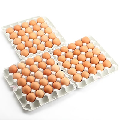 みのり農場の優黄卵　75個箱