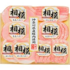 【のし付き】藤沢直売店おすすめギフトセット